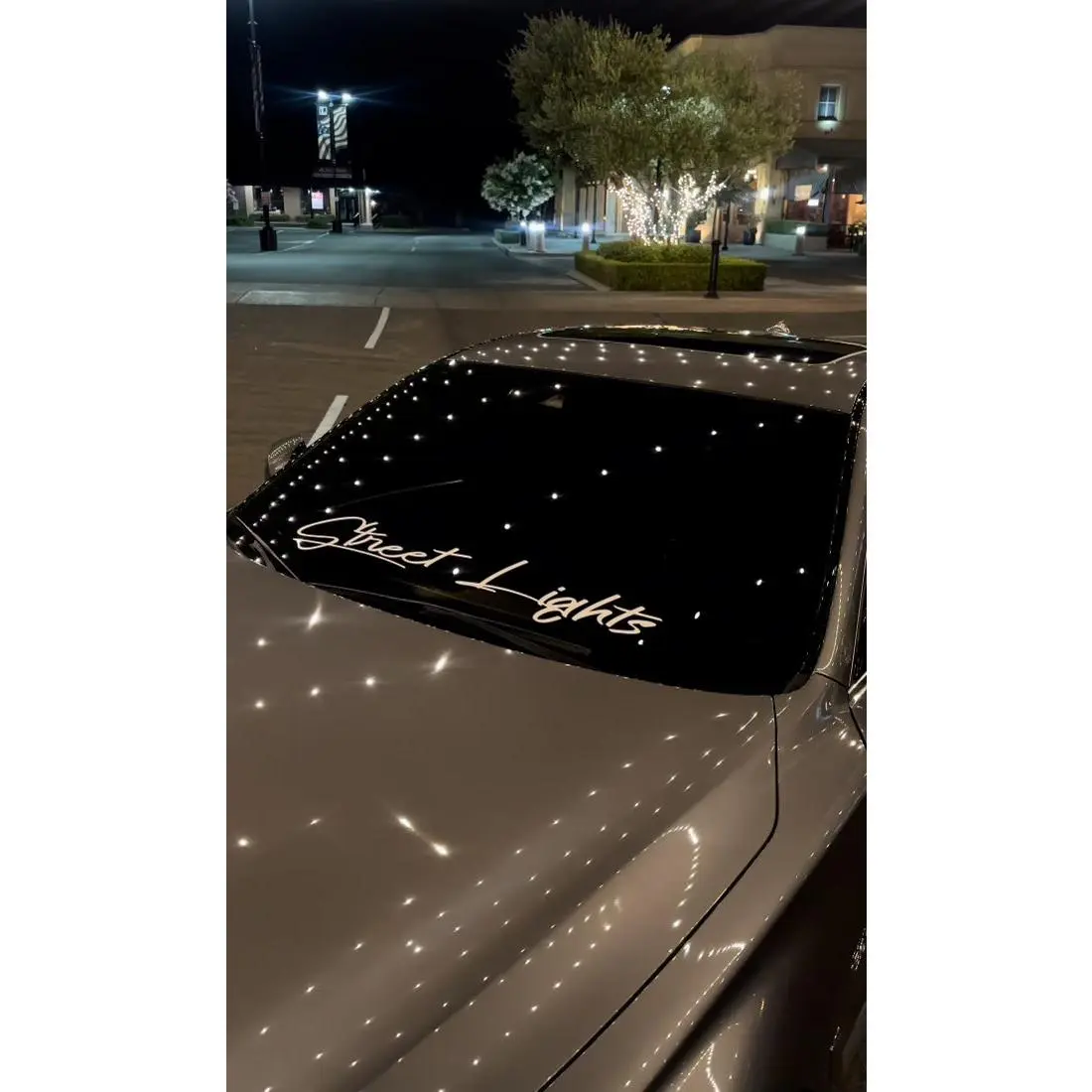 Street Lights Banners (Windshield/ Rear window)