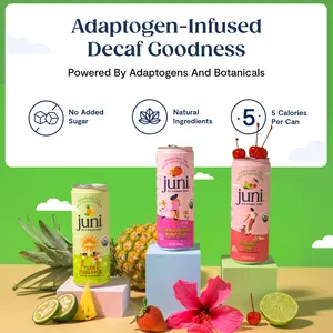 JUNI Sparkling Adaptogen Beverage with Ashwagandha and Lion’s Mane Mushroom, Green Tea for Focus, Zero Sugar, Organic, Non Alcoholic Drinks, 12-pack