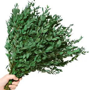20+ Small Dried Eucalyptus Stems – 7-14 Preserved Greenery Branches, 17" Natural Real Eucalyptus Bundles for Shower, Wedding, Office & Home Decor (4oz)