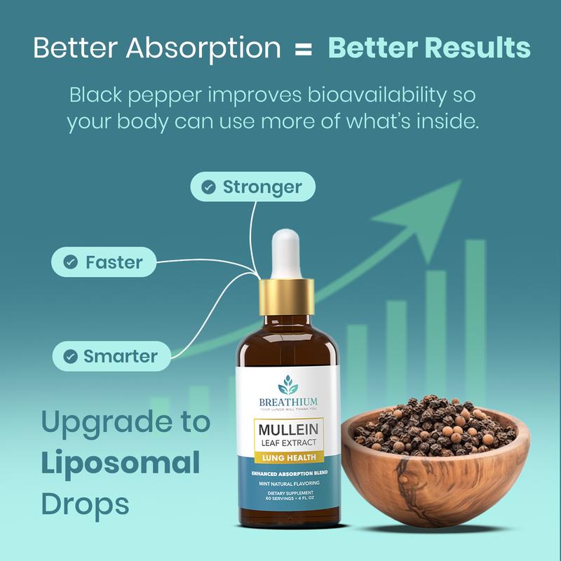 BREATHIUM Liposomal Mullein Drops – Natural Lung Cleanse & Gut Health Support – Dual Detox for Healthy Breathing, Digestion, Sinus, Cough & Mucus Relief – 60 Servings