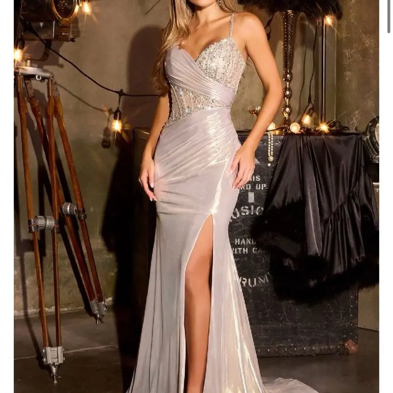 Metallic Gown