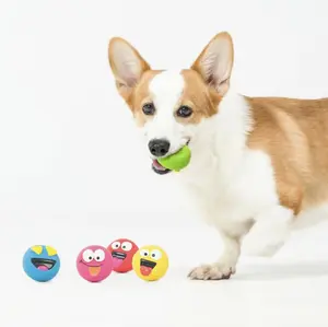 5 Pack Emoticon Latex Dog Toys with Squeaker | Natural Rubber Balls for Small to Medium Dogs | Funny Face Design for Fetch, Chew & Indoor Play | Puppy Teething Toy Gift Set