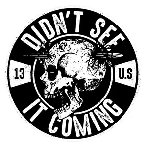 Didn't See It Coming Skull Decal