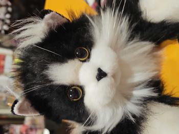 product review image from SyncretrixRedWitch 2