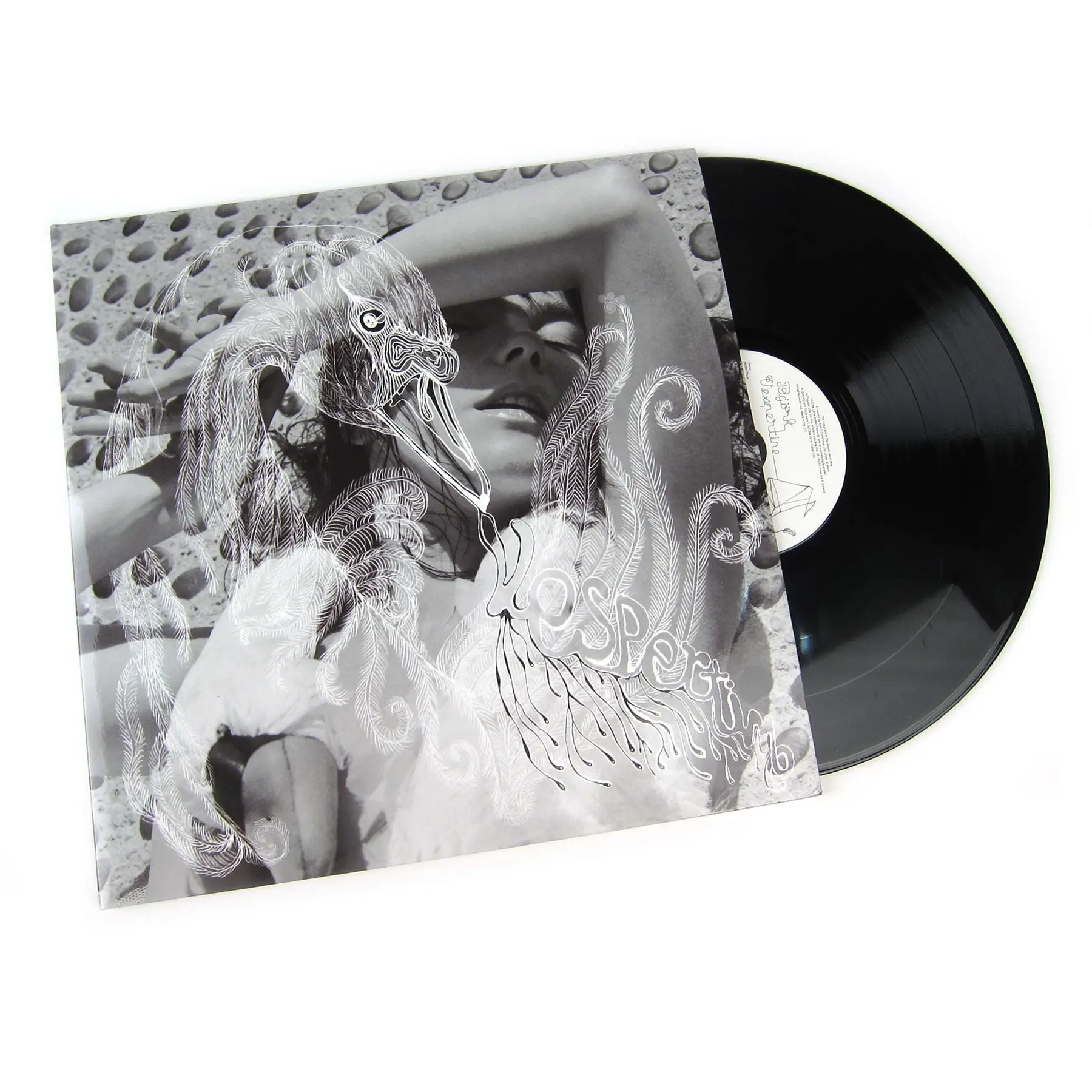 Bjork: Vespertine Dark Intimate Double Vinyl 2LP - Albums on Vinyl, Records Collections for Collectors, Music Vinyl