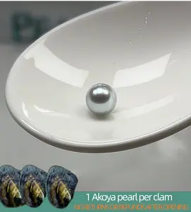 【Adee】Round Akoya 7.5-9mm (1 Akoya pearl per shell) ｜Live Opening Non-Refundable NO RETURNS OR REFUNDS AFTER