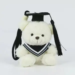 Cute Bear Plush Toy, Multiple Styles Available, Perfect Gift for Friends, Ideal for Graduation, Birthday, and Other Festivals