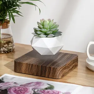 Levitating Air Bonsai Pot, Rotation Flower Pot Planters, Magnetic Levitation Suspension Floating Pot, Potted Plant Home Desk Decor in Flower Pots & Planters from Home & Garden on (Dark/light color)