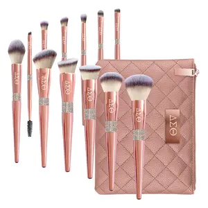 The Delta Sigma Theta Diamond Diva 12 Piece Makeup Brush Set with Bag