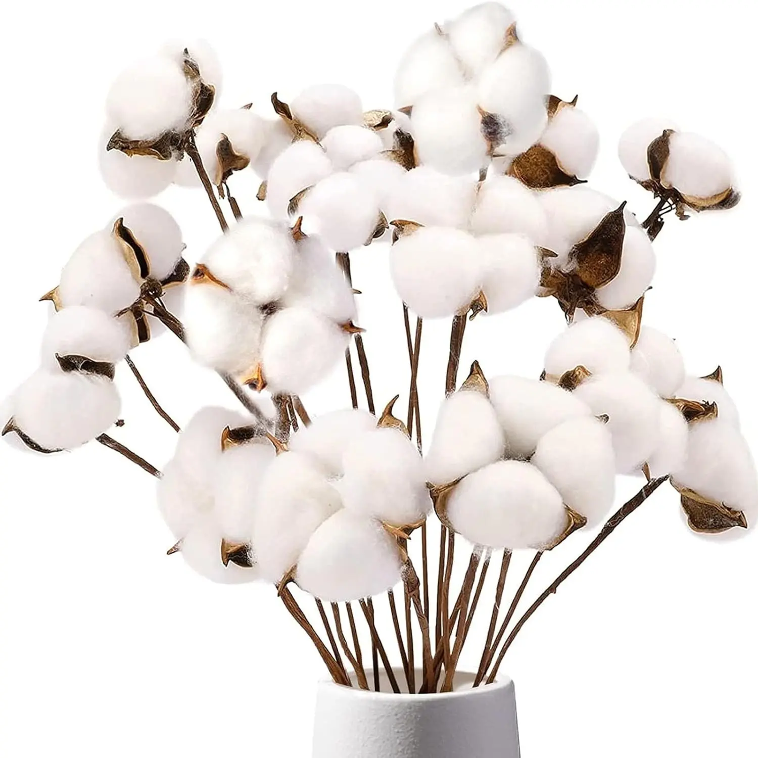 Cotton Stems 8 Packs with 15 Bolls, Natural Dried Flowers Cotton Sprigs for Vase Fillers and Floral Arrangements - Fall Decorations and DIY Crafts