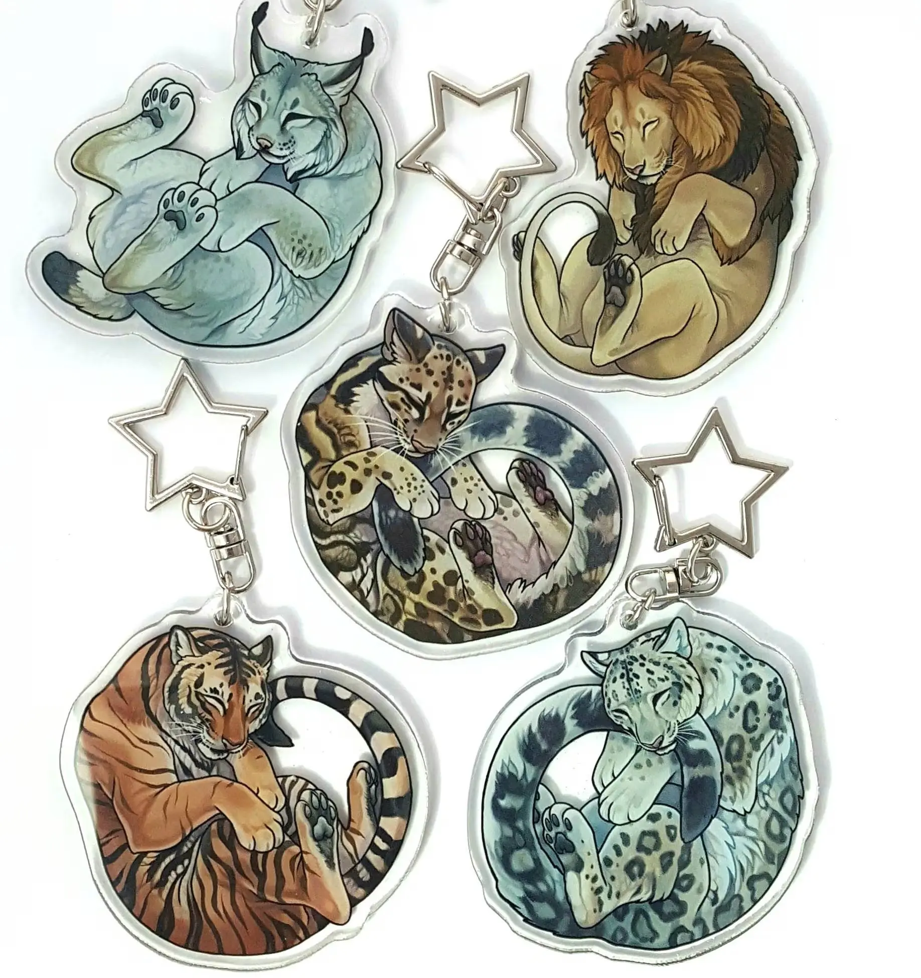 Sleepy Big Cat Acrylic Keychain - Sleepy Big Cat Charm - 5 Different Species