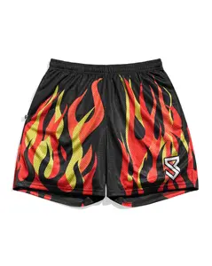 Seth Rollins Flame Entrance Retro Shorts