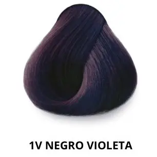 1V Negro Violeta