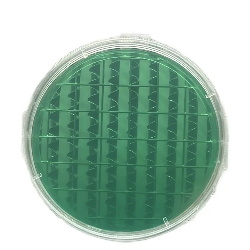 (10,20,50packset) Pre poured 100mm Cell Treat Petri Dishes W/ Grip Ring Disposable Plates