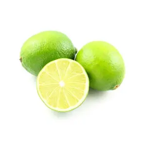Live Lemon Trees for Garden and Potted Plants | Sweet Citrus Varieties | Easy-to-care Home Garden Trees