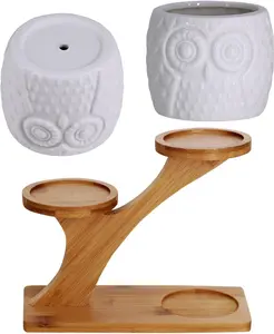 3pcs White Modern Ceramic Owl Succulent Pots with Drainage - 3-Tier Bamboo Saucers Stand Holder - Decorative Flower Planters for Home Office Desk Garden