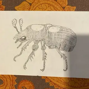 Beetle stipple, pen 5.5 x 8.5