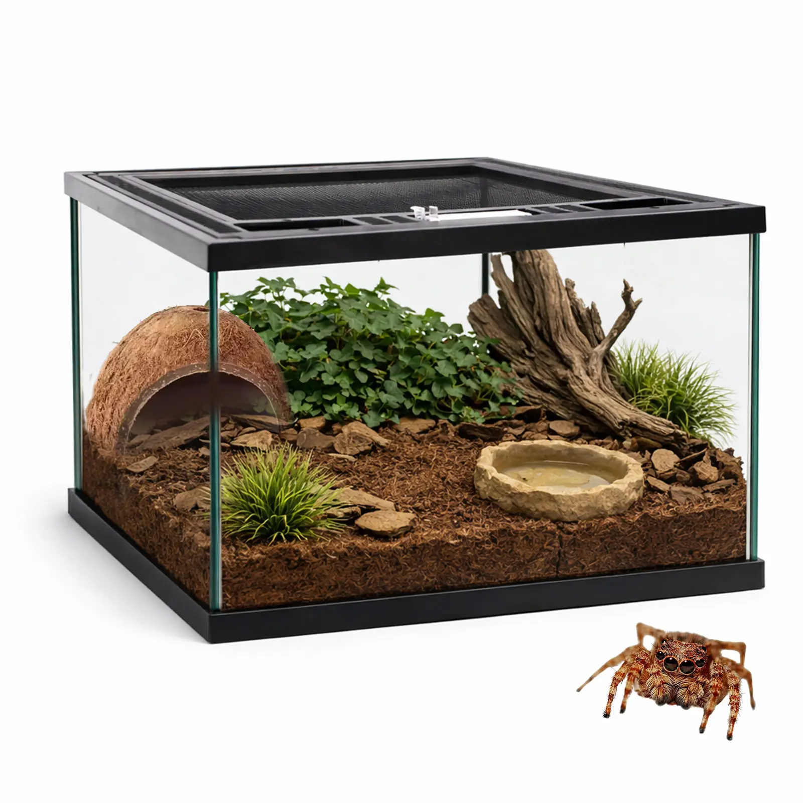 Reptile Glass Terrarium 12×12×8