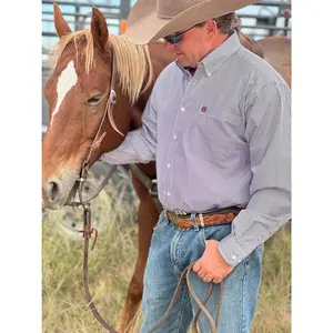 Wayland Maroon Stripe Shirt by Cinch