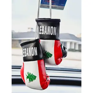 Lebanon Mini Boxing Gloves For Hanging