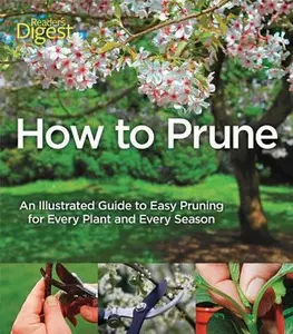 USED-How to Prune: An Illustrated Guide to Easy Pruning for Every Plant and Every Season by John Cushnie (Paperback)