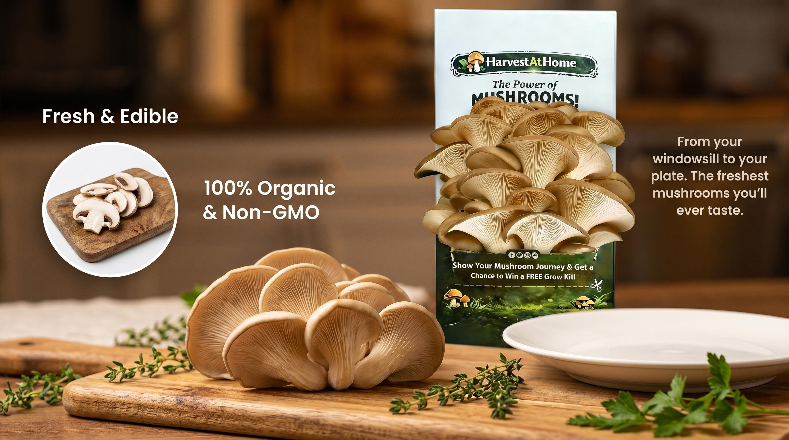 HarvestAtHome Certified USDA Organic Mushroom Kit 3-Pack (3.5lb) - Pure Mycelium Healthy Edible Fungi, 1-7 Days Fast Growth, Interactive Visual Experience, Food for Adults, Made in USA, All Seasons