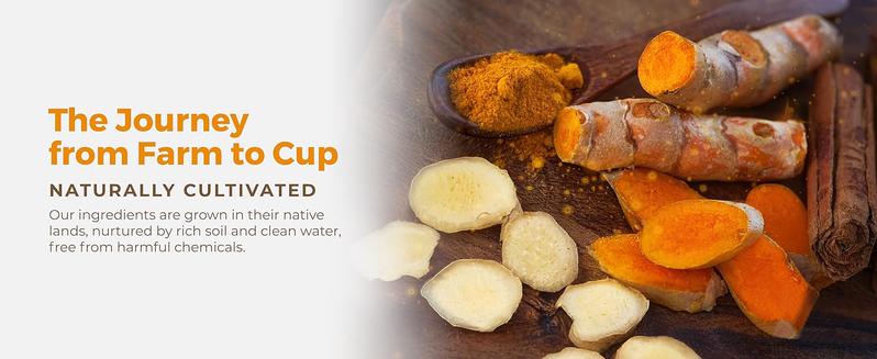 120 Bags Turmeric Ginger Cinnamon Tea, 100% Natural, Anti-Inflammatea. Eco-conscious Tea Bags. Turmeric Ginger Herbal Tea. No Sugar, No Caffeine, No Gluten, Vegan. antiinflamma tea, looseleaf tea Beverage anti in flama tea ginger caffeine free 120 Bags Turmeric Ginger Cinnamon Tea, 100% Natural, Anti-Inflammatea. Eco-conscious Tea Bags. Turmeric Ginger Herbal Tea. No Sugar, No Caffeine, No Gluten, Vegan. antiinflamma tea, looseleaf tea Beverage anti in flama tea ginger caffeine free