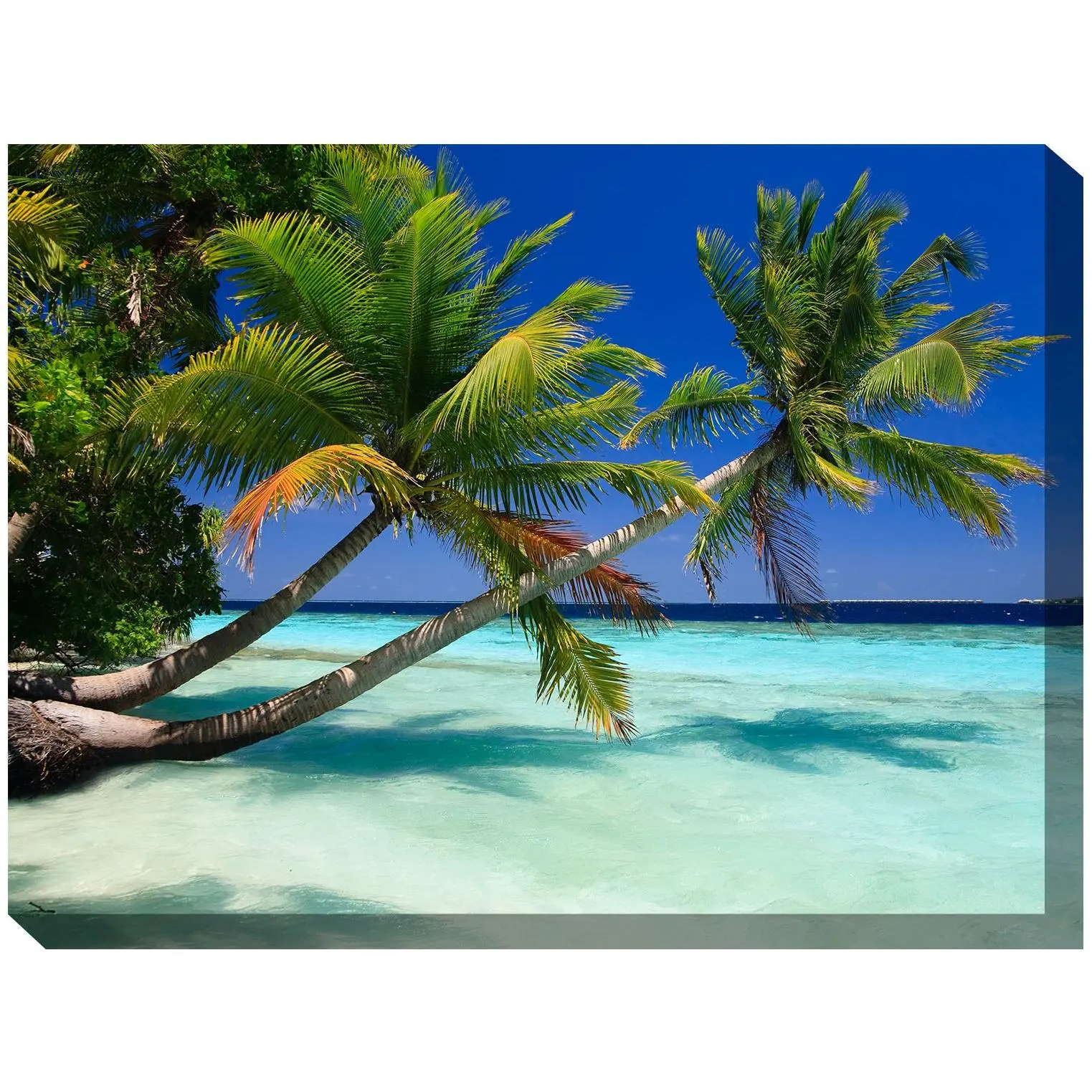 West of the Wind Outdoor Canvas Art Palms Duo 40" x 30"