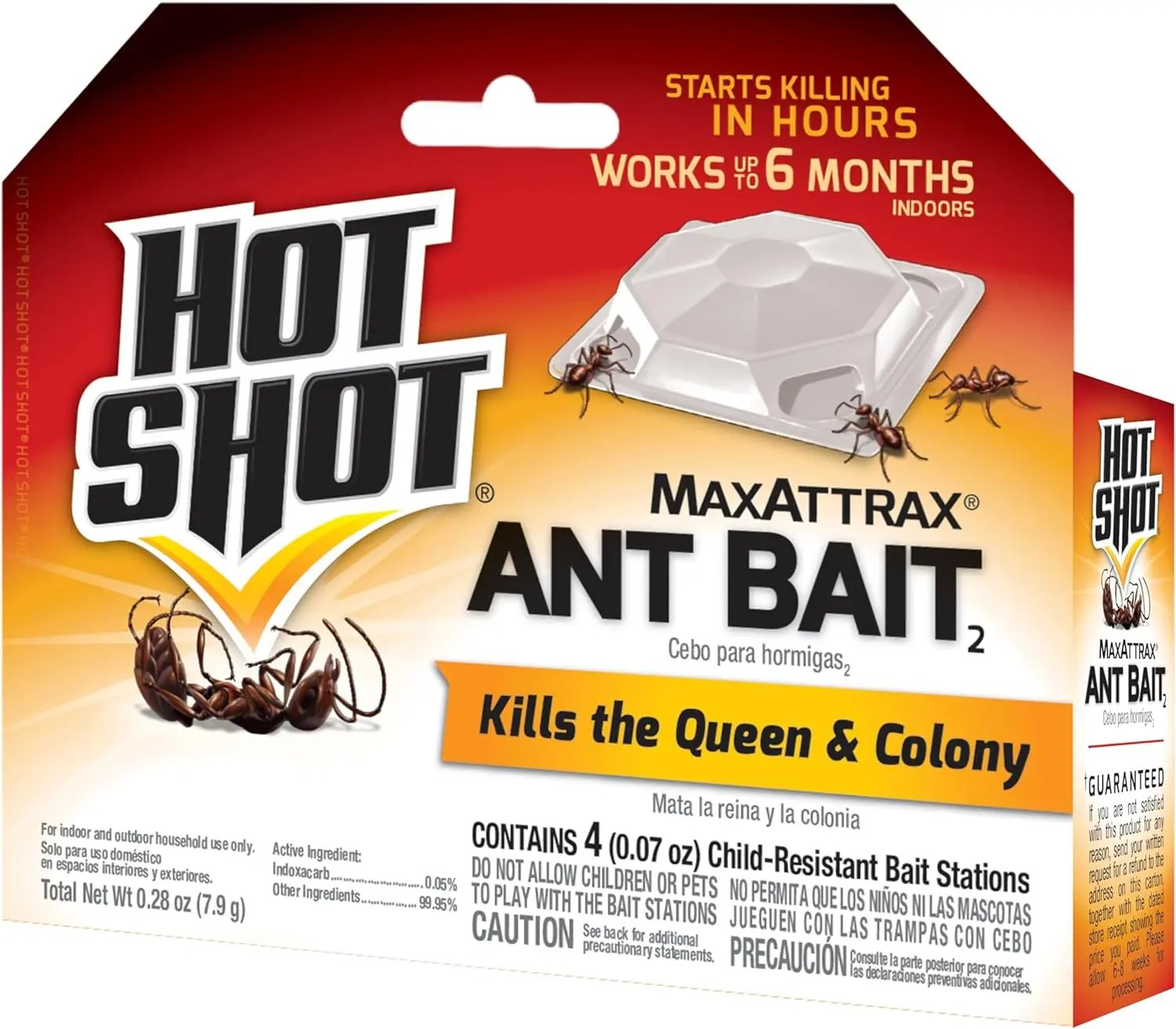 Hot Shot Ant Bait - Heavy Duty, Quick Kill Indoor Bait for Grease-Feeding Pests, 1 Pack (4 Count), 6 Months of Protection, Grease-Feeding Ants