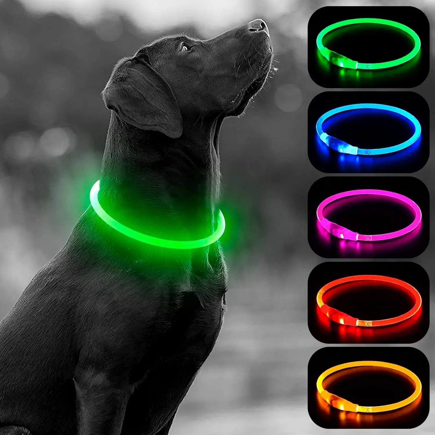High Vis TPU Material LED Dog Collar - USB Rechargeable, Cuttable, Glow Safety Accessory for Night Walking Puppies (Green)