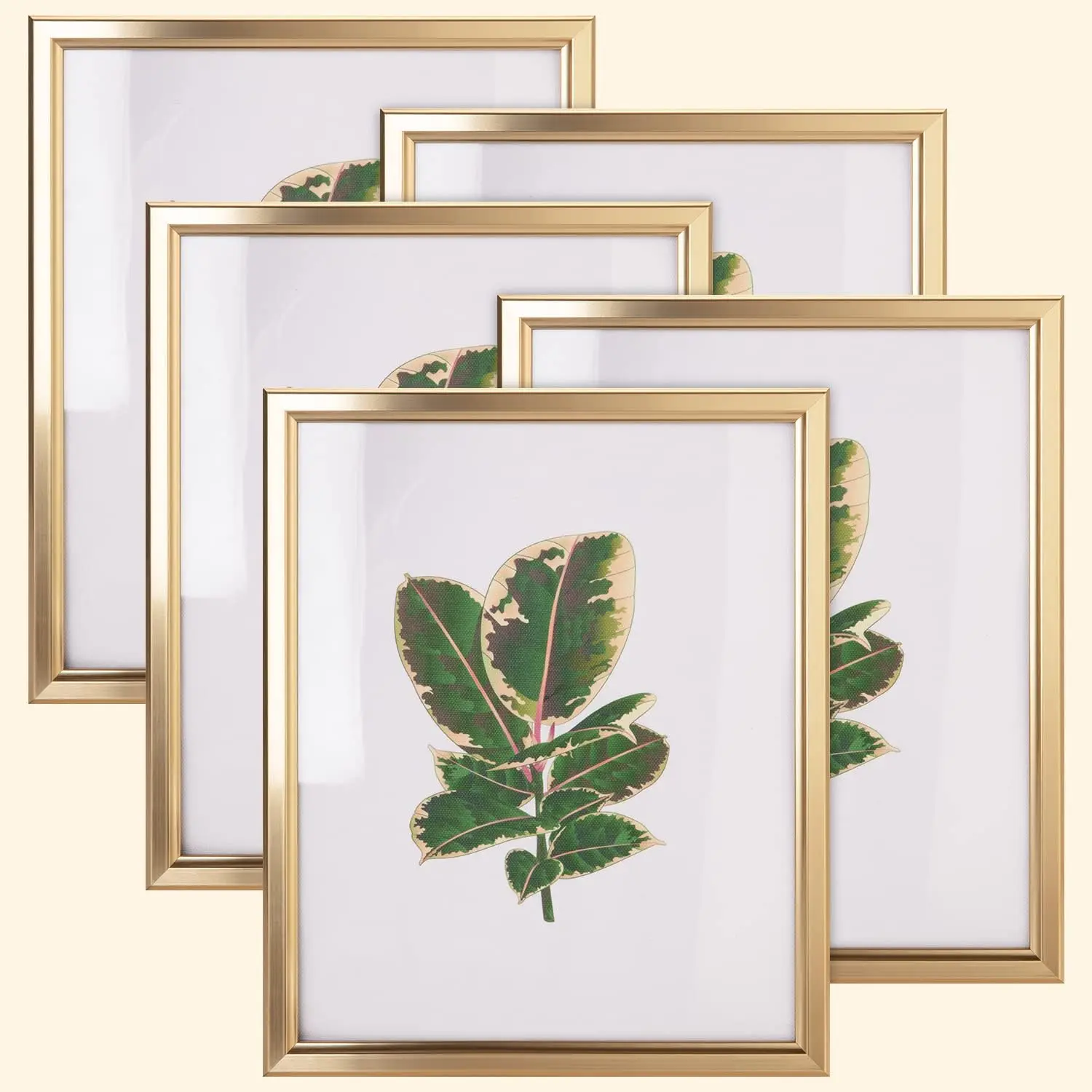8x10 Picture Frame - Set of 5, Matte  8 x 10 Photo Frame with  Glass, Modern 8x10 frame for Tabletop or Collage Wall,  Christmas Frame