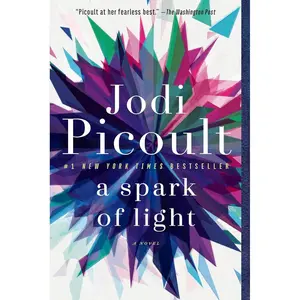 A Spark of Light: A Novel Paperback – September 24, 2019