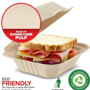 50-Pack Eco-Friendly Sugarcane Fiber Compostable Clamshell Containers - 6x6 Inch, 1 Compartment, Natural Bagasse Disposable Food Storage for Take-Out & To-Go