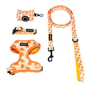 Duck & Luca 4-Piece Pet Bundle - Orange and Daisy Design for Dogs - Includes Harness, Leash, Collar, and Poop Bag