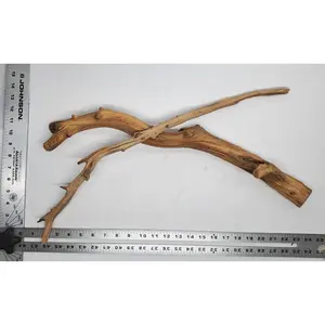 Manzanita Wood (Large)