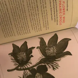 The Book of Killer Plants: A Field Guide to Nature's Deadliest Creations by Dr. Kit Carlson [Paperback Book]