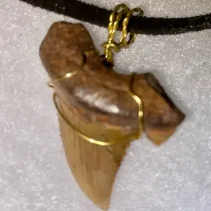 Decorative Gold Wire Sharks Tooth Necklace with Unique Fossil Design and Durable Chain