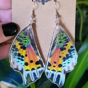 Real Madagascan Sunset Moth Wing Earrings, oddities, taxidermy, cottagecore, nature-inspired, epoxy resin