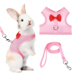 PETAXCELL Rabbit Harness and Leash, Small Pet Cute Vest Harness Leash Soft Adjustable Buckle Breathable Mesh (M, Pink) for Bunny Kitten Small Pig Puppies Camping Hiking Training