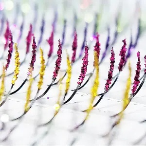 100 pcs Glitter Eyelashes Extensions Set