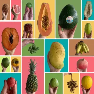 Create Your Own Tropical Fruit Box