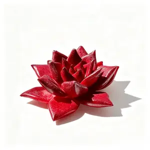 Echeveria Robin Live Succulent Plant – Deep Red Rosette,4 Inch, Stunning Color for Indoor Décor, Easy Care, Perfect Gift for Succulent Lovers, DIY Arrangement