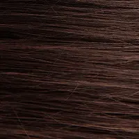 8WR Light Golden Mahogany Blonde