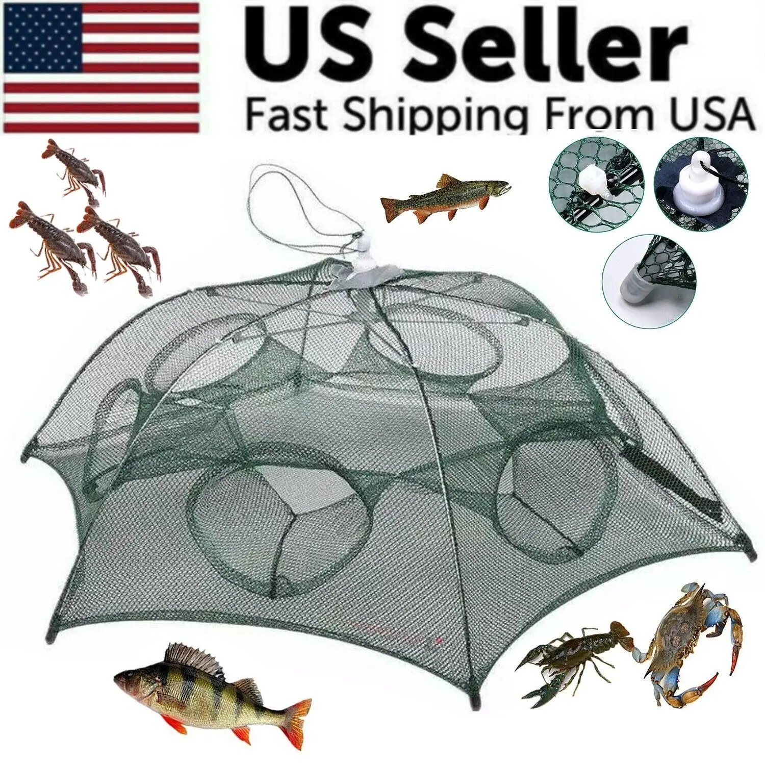 Foldable Fishing Bait Trap Net for Minnows, Crawfish, Shrimp & Crabs