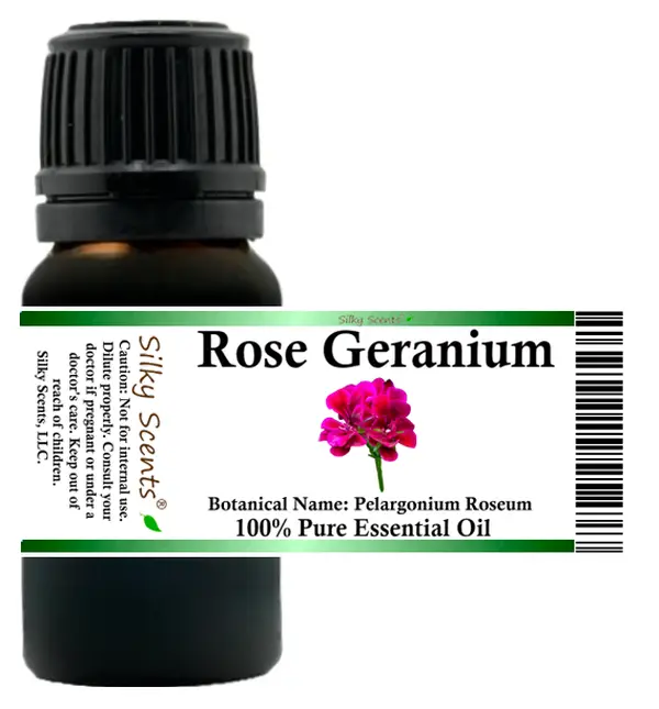 Rose Geranium Essential Oil