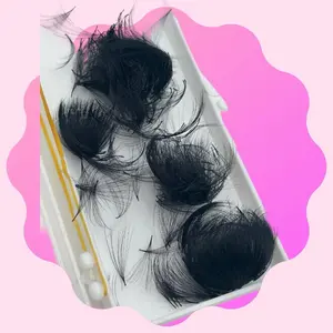 14D 0.03 Promade Fans (Box Of 500) Eyelash Extensions
