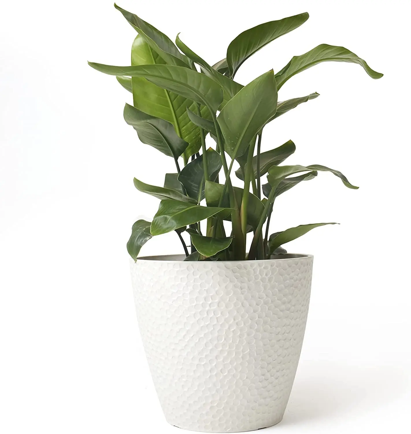 Outdoor/Indoor Tree Planters Outdoor/Indoor Tree Planters
