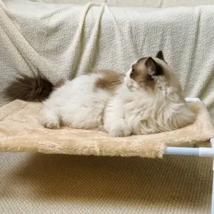 Elevated Cat and Dog Bed: An indoor/outdoor elevated bed for small cats and dogs, featuring a removable pet bed with non-slip pads, made of polyester cotton (27“ L x 19.5” W x 6.4" H)