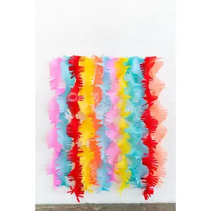 Fiesta Crepe Paper Fringe Streamers