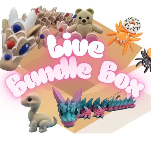 $80 Live Bundle Box of 3D Printed Figurines Decor Ornaments for Unique Collectibles and Home Decor